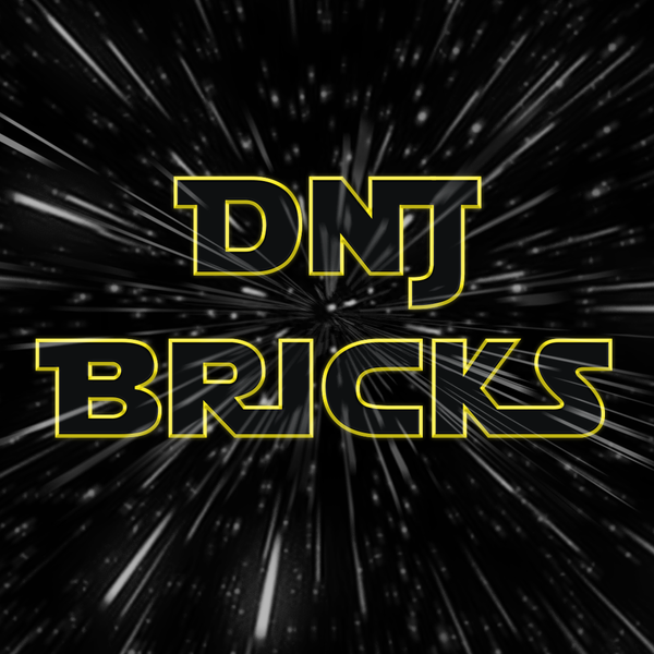 DNJ BRICKS 